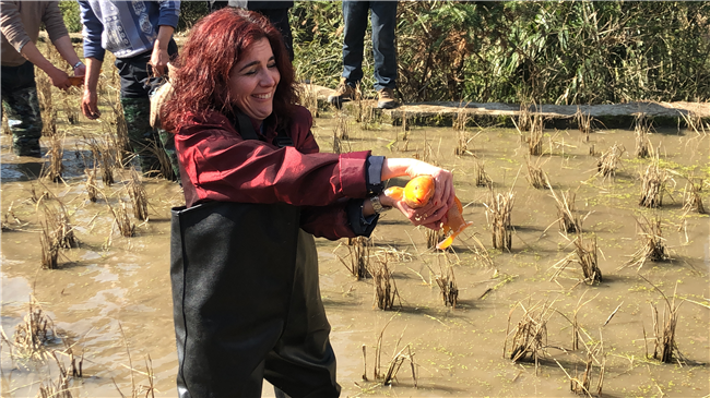 【新春走基層】讓世界愛上中國 國際友人來浙過“僑鄉(xiāng)中國年”