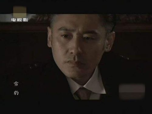 吳秀波受負(fù)面影響？《雪豹》重播他被從演員表除名