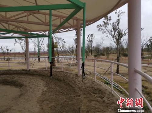 “旋轉活馬”設備 唐娟 攝