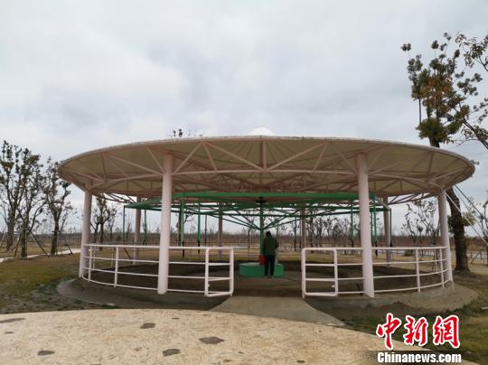 “旋轉活馬”設備 唐娟 攝