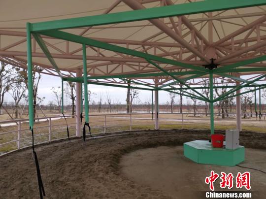 “旋轉活馬”設備 唐娟 攝