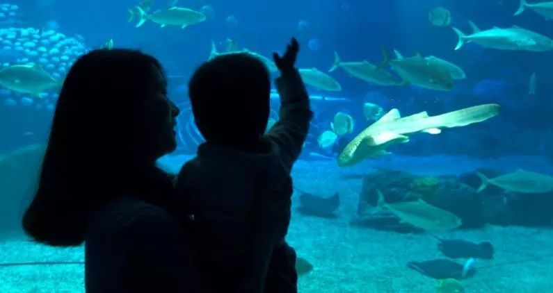 2018年旅游營銷TOP10起底大盤點（上）：景區(qū)篇