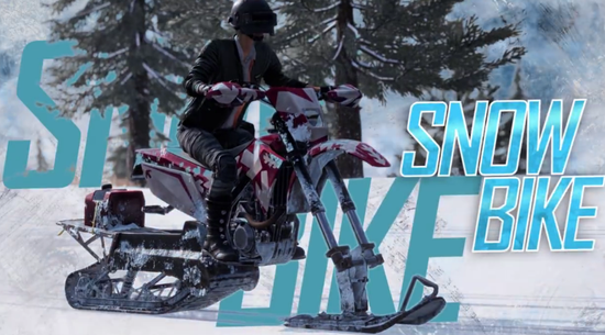 雪地輕型摩托將暫時從游戲中刪除 恢復時間待定