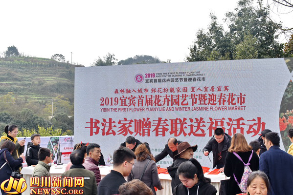 過宜賓年 看敘州花 2019宜賓首屆花卉園藝節(jié)開幕