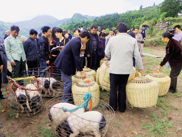 堅決打贏十大攻堅戰(zhàn)|民生實事攻堅篇 精準發(fā)力解民憂 全力攻堅惠民生