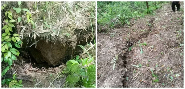 堅決打贏十大攻堅戰(zhàn)|民生實事攻堅篇 精準發(fā)力解民憂 全力攻堅惠民生