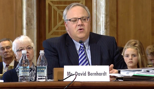 1549325952727789.jpg LIty-hsqyiwt3594359.jpg