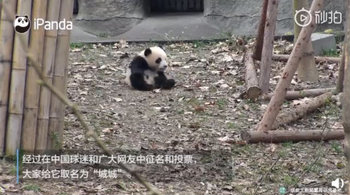 【18點(diǎn)見】河北張家口致24死爆燃事故調(diào)查報(bào)告發(fā)布:化工公司瞞報(bào)