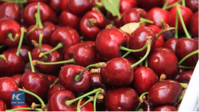 一顆賣6元，月薪上萬也吃不起車?yán)遄樱烤W(wǎng)友哭窮，這個小國卻笑著數(shù)錢