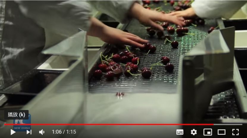 一顆賣6元，月薪上萬也吃不起車?yán)遄樱烤W(wǎng)友哭窮，這個小國卻笑著數(shù)錢