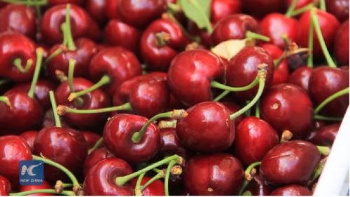 月薪上萬(wàn)吃不起車?yán)遄?網(wǎng)友哭窮 這個(gè)國(guó)家笑著數(shù)錢