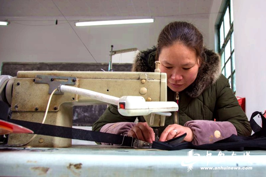 【新春走基層】蚌埠：產(chǎn)業(yè)扶貧促增收 村民走上致富路