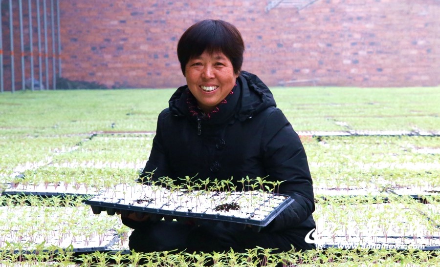 【新春走基層】蚌埠：產(chǎn)業(yè)扶貧促增收 村民走上致富路