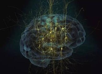 神經(jīng)形態(tài)計算 新研究可以帶來更高能效的計算