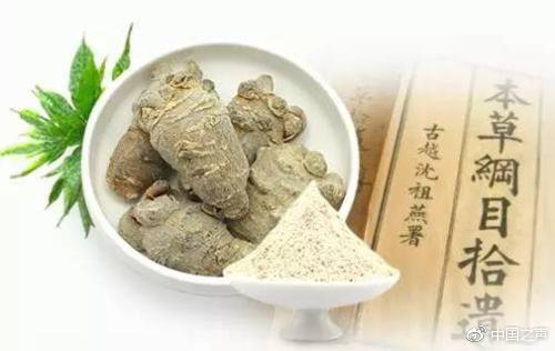 板藍根ISO國際標準發(fā)布，科研團隊揭秘中醫(yī)藥如何走出國門