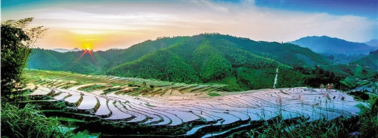 農(nóng)民收入增幅連續(xù)10年居全省首位 解析麗水農(nóng)民增收密碼