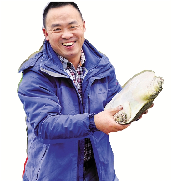 農(nóng)民收入增幅連續(xù)10年居全省首位 解析麗水農(nóng)民增收密碼