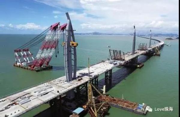 大批中華白海豚“亮相”港珠澳大橋、淇澳島海面