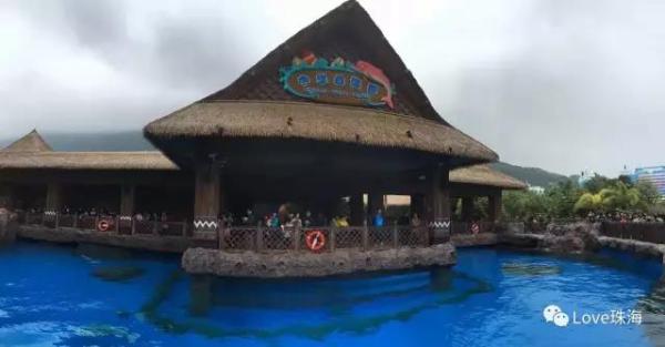 大批中華白海豚“亮相”港珠澳大橋、淇澳島海面