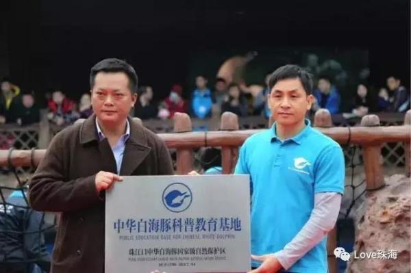 大批中華白海豚“亮相”港珠澳大橋、淇澳島海面